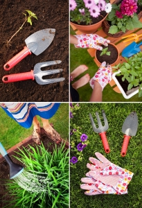 Different Kinds of Tools for Gardening