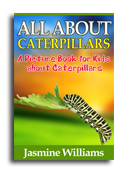 Ceterpillars book cover small