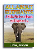 Elephant book cover small