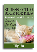 Kittens book cover small