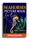 Seahorse book cover small