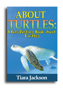 Turtles book cover small