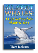 Whales book cover small